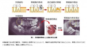 図1